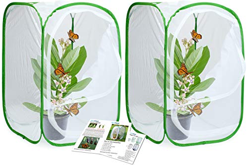 RESTCLOUD Insekten- und Schmetterlingskäfig, Pop-Up-Terrarium, 61 cm hoch, Polyester-Unterseite für einfache Reinigung standard 2er-Pack von RESTCLOUD