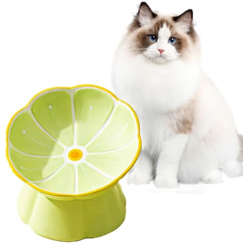 Erhöhte Keramik-Katzennäpfe, Anti-Erbrechen, schützt die Wirbelsäule des Haustiers, geneigte ergonomische Näpfe, niedliche Katzen-Futternäpfe für Indoor-Katzen (Grün geneigt) von RETROSOHOO