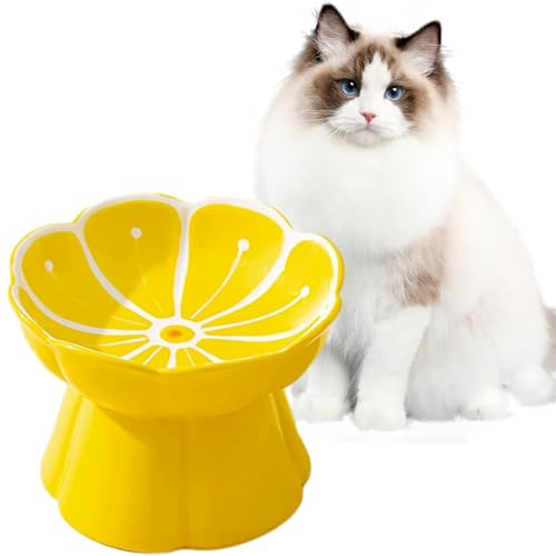 Erhöhte Keramik-Katzennäpfe, Anti-Erbrechen, schützt die Wirbelsäule des Haustiers, geneigte ergonomische Näpfe, niedliche Katzen-Futternäpfe für Indoor-Katzen (gelb, flach) von RETROSOHOO