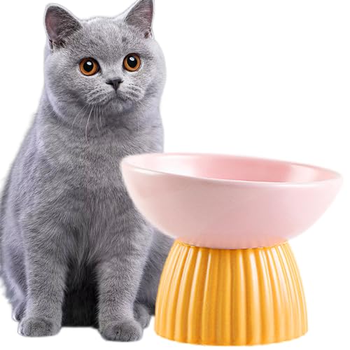Erhöhter Futternapf für Katzen, 220 ml, Keramik, geneigt, verhindert Ermüdung des Halses, spülmaschinen- und mikrowellengeeignet, Rosa von RETROSOHOO
