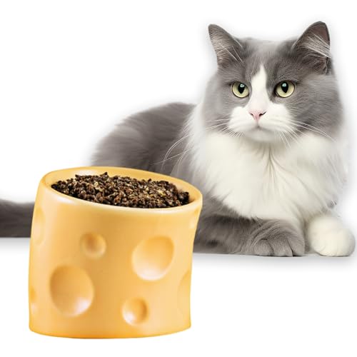 Keramik-Katzennapf, erhöhter ergonomischer Katzenfutternapf und Wassernapf, Anti-Erbrechen & Schutz der Wirbelsäule des Haustiers, Katzennapf für Indoor-Katzen (genilt) von RETROSOHOO