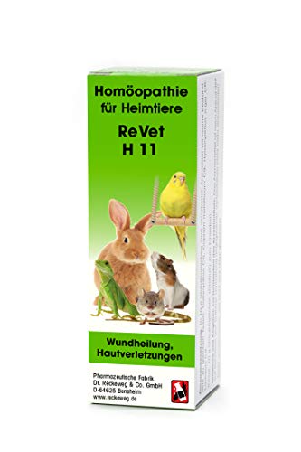 REVET H 11 Globuli für Heimtiere -Homöopathisches Arzneimittel für Heimtiere, freiverkäuflich, 10 g von ReVet