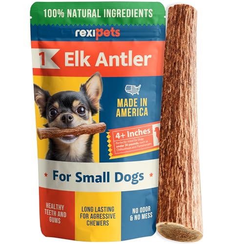 REXIPETS Elchgeweih für kleine Hunde – langlebiges Kauspielzeug für Aggressive Kauer – Elchgeweih Hundegeweih Kauspielzeug – echte Bio-Leckerlis & Spielzeug – natürlich in den USA vergossen von REXIPETS