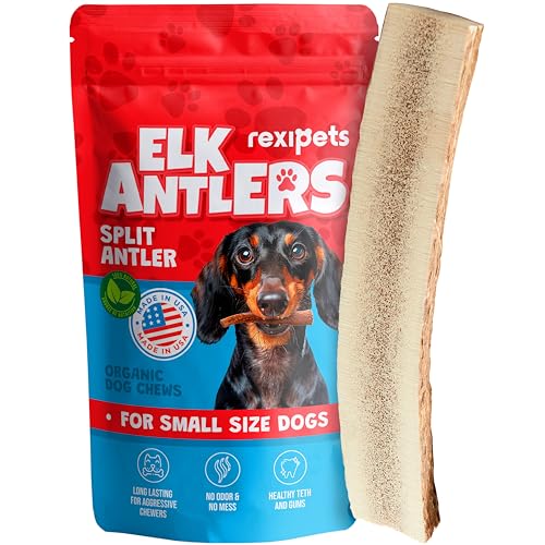 REXIPETS Geteiltes Elchgeweih für kleine Hunde, Güteklasse A, langlebiges Kauspielzeug für aggressive Kauer, Elchgeweih, Kauspielzeug für Hunde, echte Bio-Leckerlis und Spielzeug, natürlich in den USA von REXIPETS