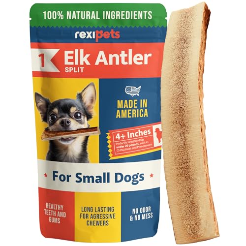 REXIPETS Geteiltes Elchgeweih für kleine Hunde, Güteklasse A, langlebiges Kauspielzeug für aggressive Kauer, Elchgeweih, Kauspielzeug für Hunde, echte Bio-Leckerlis und Spielzeug, natürlich in den USA REXIPETS Geteiltes Elchgeweih für kleine Hunde, Güteklasse A, langlebiges Kauspielzeug für aggressive Kauer, Elchgeweih, Kauspielzeug für Hunde, echte Bio-Leckerlis und Spielzeug, natürlich in den USA von REXIPETS