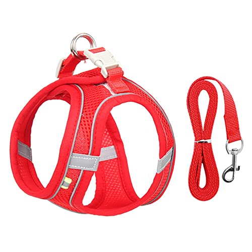 Hundegeschirr-Leine-Set for Kleine Hunde, Verstellbar, Welpen-Katzengeschirr, Weste, Französische Bulldogge, Chihuahua, Mops, Outdoor-Laufleine (Color : Red, Size : M 5-7 kg) von REYNEM