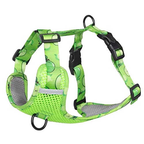 Kein Ziehen Hundegeschirr Weste for Mittelgroße Hunde Niedliches Fruchtdruck-Gurtband Großes Hundegeschirr Atmungsaktives Mesh-Brustgurt Heimtierbedarf (Color : Green, Size : L) von REYNEM