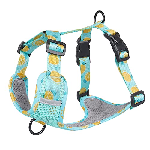 Kein Ziehen Hundegeschirr Weste for Mittelgroße Hunde Niedliches Fruchtdruck-Gurtband Großes Hundegeschirr Atmungsaktives Mesh-Brustgurt Heimtierbedarf (Color : Light Blue, Size : L) von REYNEM