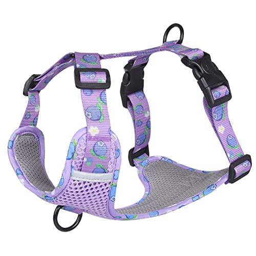 Kein Ziehen Hundegeschirr Weste for Mittelgroße Hunde Niedliches Fruchtdruck-Gurtband Großes Hundegeschirr Atmungsaktives Mesh-Brustgurt Heimtierbedarf (Color : Purple, Size : L) von REYNEM