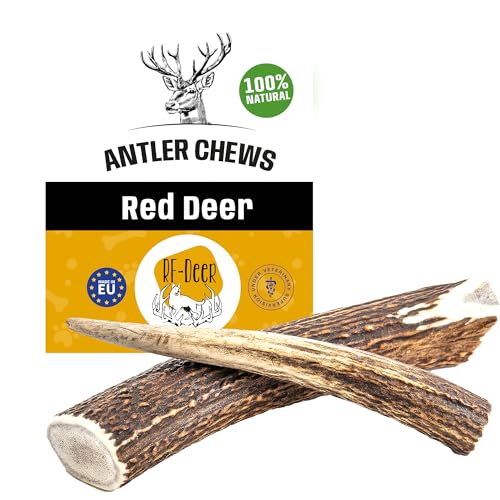 RF - Deer Hundeknochen Hundesnack Rothirsch Geweih Kausnack Größe M Hard Premium - 1 Stück - Hirschgeweih für Hunde, 100% natürlicher, Gesunder Hundespielzeug, Kauknochen für Genuss und Zahnpflege von RF - Deer