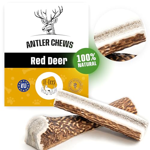 RF - Deer Hundesnack Rothirsch Geweih Kausnack Premium, Hirschgeweih für Hunde, 100% natürlicher, Gesunder Hundespielzeug, Kauknochen für Genuss und Zahnpflege, Soft, L, 111-150 g, 17-19 cm von RF - Deer