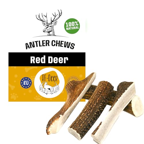 RF-Deer Hundeknochen Hundesnack Rothirsch Geweih Kausnack Größe M Soft Premium - 1 Stück - Hirschgeweih für Hunde, 100% natürlicher, Gesunder Hundespielzeug, Kauknochen für Genuss und Zahnpflege von RF - Deer