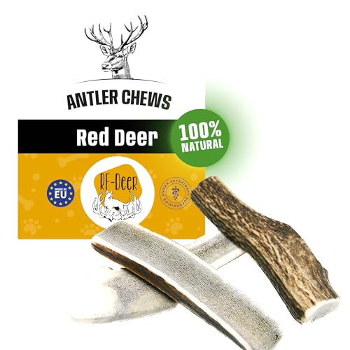 RF - Deer Hundesnack Rothirsch Geweih Kausnack Premium, Hirschgeweih für Hunde, 100% natürlicher, Gesunder Hundespielzeug, Kauknochen für Genuss und Zahnpflege, Soft, S, 41-70 g, 11-13 cm von RF - Deer