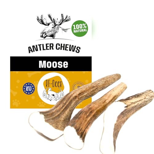 RF - DEER Elchgeweih, Geweihstück Größe XL, Natürlicher Geweih-Kausnack für Hunde, Gesunder Kauspielzeug, Kauknochen für Genuss und Zahnpflege, Hard Version, 120-180 g, 14-17 cm von RF - Deer