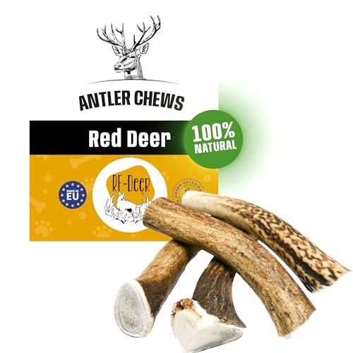 RF - Deer Hundeknochen Hundesnack Rothirsch Geweih Kausnack, Hirschgeweih für Hunde, 100% natürlicher, Gesunder Hundespielzeug, Kauknochen für Genuss und Zahnpflege (S, Hard - 5 Stück) von RF - Deer