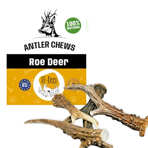 RF - DEER Ziegengeweih, Natürlicher Geweih-Kausnack für Hunde, Gesunder Kauspielzeug, Kauknochen für Genuss und Zahnpflege, Erhältlich in verschiedenen Varianten (L) von RF - Deer