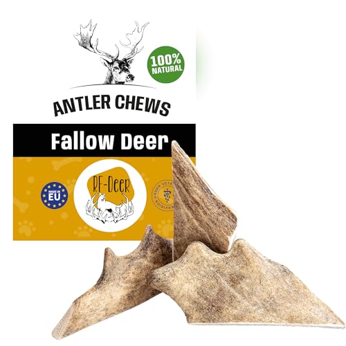 RF-Deer Damhirschgeweih Natürlicher Geweih-Kausnack für Hunde Größe L - 0,5 kg - jedes Stück ca. 15 cm - Gesunder Kauspielzeug Kauknochen für Genuss und Zahnpflege von RF - Deer