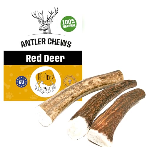 RF-Deer Hundesnack Rothirsch Geweih Kausnack L Hard - 0,5 kg - jedes Stück ca. 14 cm - Hirschgeweih für Hunde 100% Natürlicher Gesunder Hundespielzeug Kauknochen für Genuss und Zahnpflege von RF - Deer