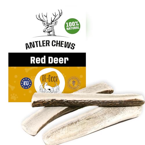 RF-Deer Hundesnack Rothirsch Geweih Kausnack L Soft - 0,5 kg - jedes Stück ca. 14 cm - Hirschgeweih für Hunde 100% Natürlicher Gesunder Hundespielzeug Kauknochen für Genuss und Zahnpflege von RF - Deer