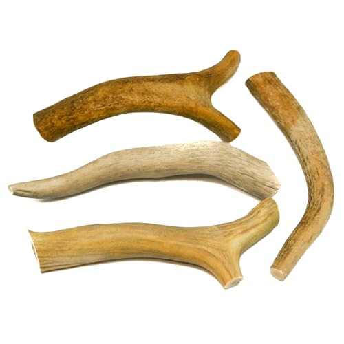 RF - Deer Natürliches Hirschgeweih, Einzigartige Dekoration, Perfekt für Hundespielzeug, Kauspielzeug, Kaubeständig, Sicher für Hunde, Die Auktion umfasst 1 kg (10–20 cm, 7-12 Stück) von RF - Deer