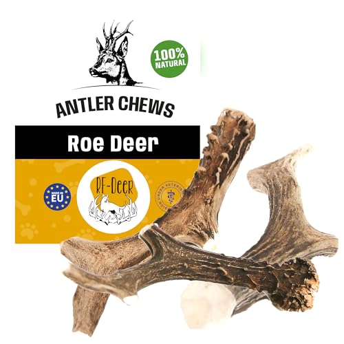 RF-Deer Ziegengeweih Natürlicher Geweih-Kausnack für Hunde Größe L Hard - 0,5 kg - jedes Stück ca. 18 cm - Gesunder Kauspielzeug Kauknochen für Genuss und Zahnpflege von RF - Deer