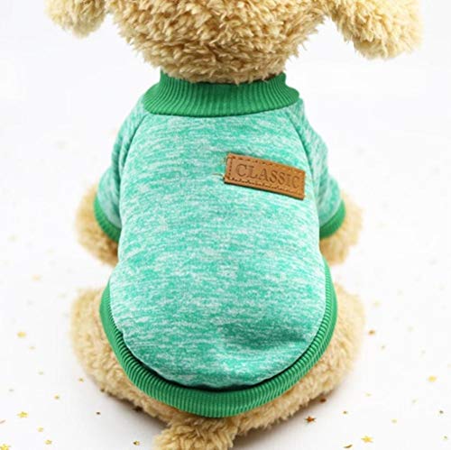 RFDFG Warme Hundekleidung Wolle Welpen Hund Jacke Winter Strickpullover für kleine Hunde Kleidung Einfache Ropa para Perro XS-2XL, Grün, L. von RFDFG