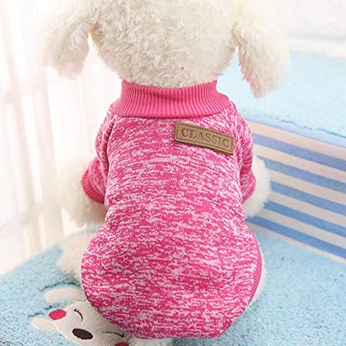 RFDFG Winter Warm Cotton Pet Dog Hoodies Sweatshirt Pet Coat Jacke Kleidung Roupas para cachorro Für kleine Hunde XS-XXL 9 Farben, Marineblau, XL von RFDFG