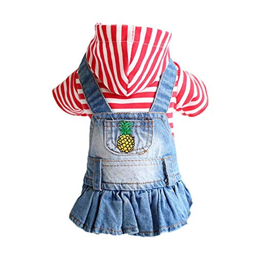 RFDFG XS-2XL Denim Hundekleidung Cowboy Haustier Hundemantel Welpenbekleidung für kleine Hunde Jeans Jacke Hundeweste Mantel Welpen Outfits Katzenkleidung, Ananas mit roten Streifen, M. von RFDFG