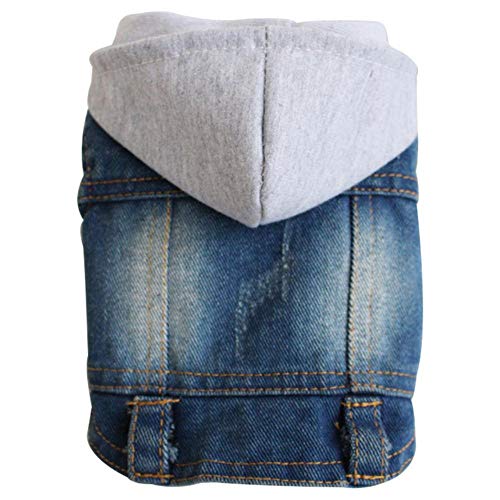 RFDFG XS-2XL Denim Hundekleidung Cowboy Haustier Hundemantel Welpenkleidung für kleine Hunde Jeans Jacke Hundeweste Mantel Welpen Outfits Katzenkleidung, C, L. von RFDFG