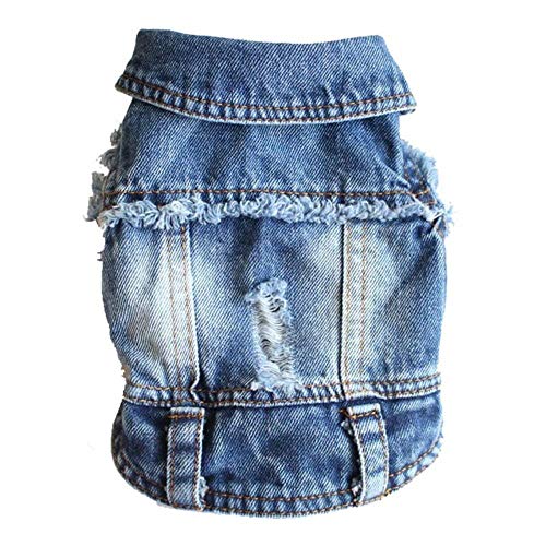 RFDFG XS-2XL Denim Hundekleidung Cowboy Pet Dog Coat Welpenkleidung für kleine Hunde Jeans Jacke Hundeweste Mantel Welpen Outfits Katzenkleidung, B, M. von RFDFG