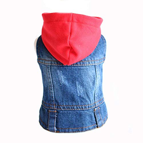 RFDFG XS-2XL Denim Hundekleidung Cowboy Pet Dog Coat Welpenkleidung für kleine Hunde Jeans Jacke Hundeweste Mantel Welpen Outfits Katzenkleidung, D, M. von RFDFG