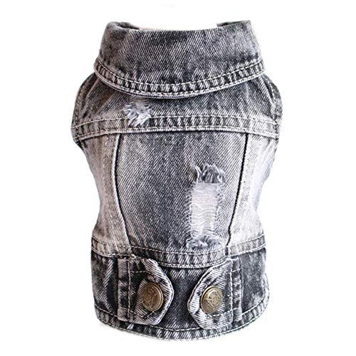 RFDFG XS-2XL Denim Hundekleidung Cowboy Pet Dog Coat Welpenkleidung für kleine Hunde Jeans Jacke Hundeweste Mantel Welpen Outfits Katzenkleidung, F, M. von RFDFG