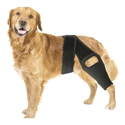 RFEGJVII Hunde-Knie-Hüft-Bein-Bandage, ACL-Bandage für große Hunde-Hinterbeine, Bequeme und verstellbare Hunde-Bein-Bandage, Haustier-Knieschutz für gerissene Hüftdysplasie L von RFEGJVII