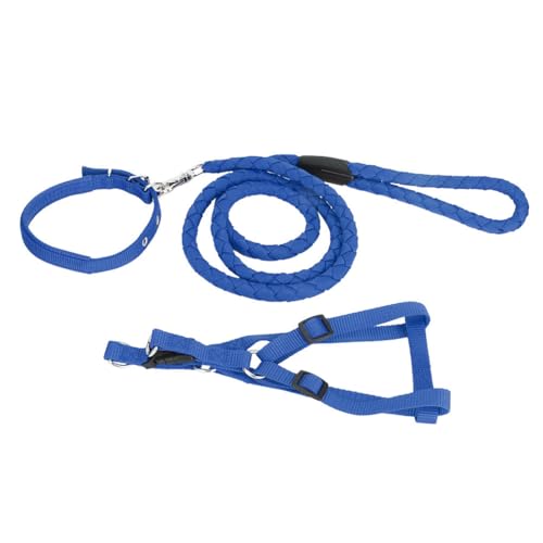 Großes Hundegeschirr, Leinen-Set, Training, Spazierengehen, Premium-Nylon-Material, umweltfreundlich, Rot, Blau, Schwarz, S, Größe M, große Hunde (M) von RGBGW