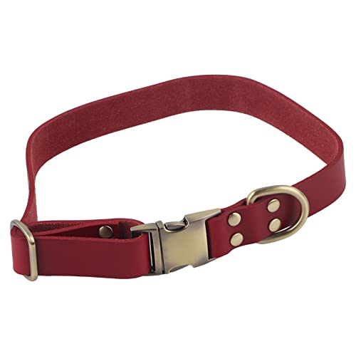 Hundehalsband aus Leder, gepolstert, Haustierhalsband aus weichem Leder, mit gravierter Schnalle, für Katzen und Hunde, groß, mittel, klein (L) von RGBGW