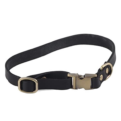 Hundehalsband aus Leder, gepolstert, Haustierhalsband aus weichem Leder, mit gravierter Schnalle, für Katzen und Hunde, groß, mittel, klein (L) von RGBGW