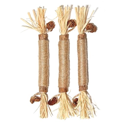 RGZ 3pcs Katzenminze Sticks für Katzen, Matatabi Katze Kauspielzeug,Stick Katze Sticks, Matatabi-Kausticks als Katzenspielzeug, Kauholz Katze Catnip Sticks von RGZD