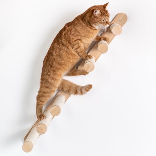 RHRQuality Katze Katzentreppe Set (2 stück) Kletterwand Wandmontage (Bis 20KG) 41 x 21,5 cm für große Katzen (Beige) von RHRQUALITY