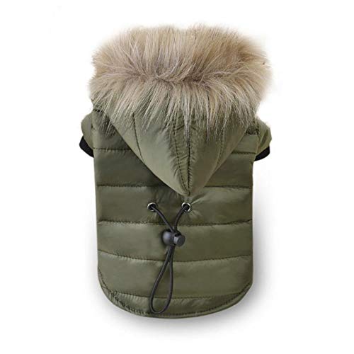 UKKD Hundemantel Winter Warm Kleine Hundekleidung-Haustier Hunde Mantel Weicher Pelz Hood Puppy Jacke Bekleidung Für Chihuahua Kleine Große Hunde,Grün,M von RHXWFDG