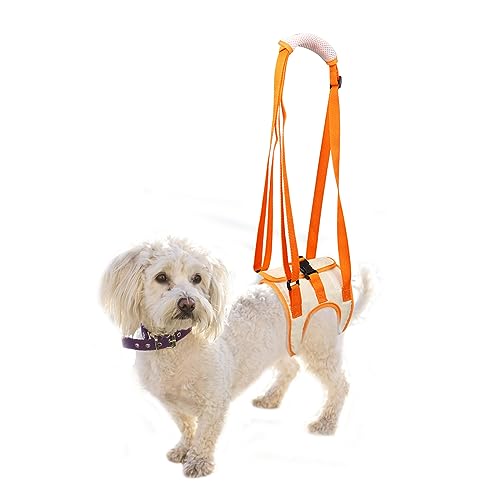 Hundegeschirr, Tragehilfe Hund Hinten, Dog Lift Harness Tragbarer Hebeband-Tragegurt Helfen Sie Hunden Mit Schwachen Hinterbeinen, für Verletzte Behinderte Kleine, Mittlere und Große Hunde(Größe S) von RICHDMI