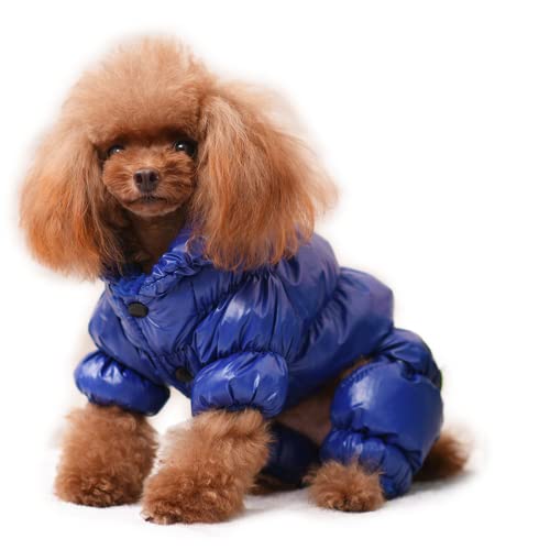 RICHRAIN Warmer Mantel und Jacke für kleine Hunde, Winter-Hundekleidung, wasserdicht, winddicht, Outdoor-Haustierkleidung für Chiwawa Teddy Bichon Schnauzer (XXL, blau) von RICHRAIN