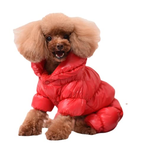 RICHRAIN Warmer Mantel und Jacke für kleine Hunde, Winterkleidung, wasserdicht, winddicht, Outdoor-Haustierkleidung für Chiwawa Teddy Bichon Schnauzer (XXL, rot) von RICHRAIN