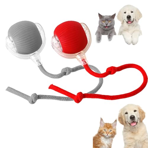 Interaktiver Rollender Hundeball, Chewie Viral Rolling Ball, Chewie Doggie Ball, Intelligentes Spielzeug Für Hunde Und Katzen, 360° Intelligenter Automatischer Rollender Haustierball (2PCS-B) von RICOKJRDE