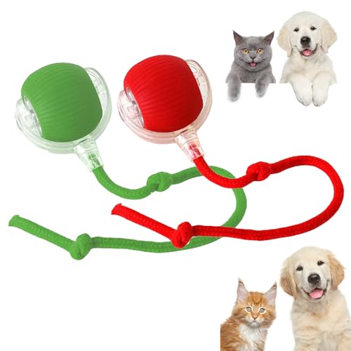 Interaktiver Rollender Hundeball, Chewie Viral Rolling Ball, Chewie Doggie Ball, Intelligentes Spielzeug Für Hunde Und Katzen, 360° Intelligenter Automatischer Rollender Haustierball (2PCS-C) von RICOKJRDE