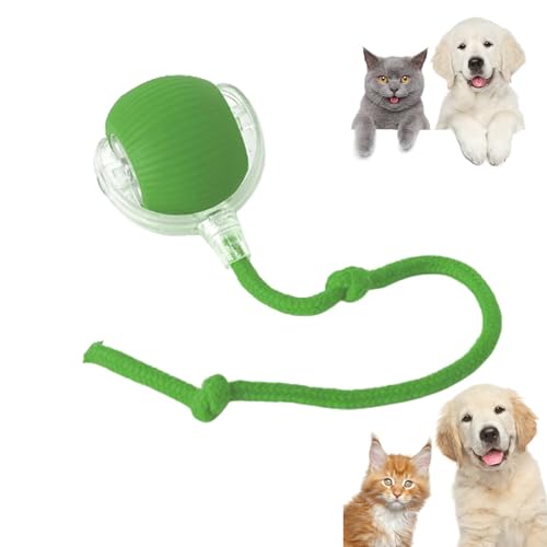 Interaktiver Rollender Hundeball, Chewie Viral Rolling Ball, Chewie Doggie Ball, Intelligentes Spielzeug Für Hunde Und Katzen, 360° Intelligenter Automatischer Rollender Haustierball (Green) von RICOKJRDE