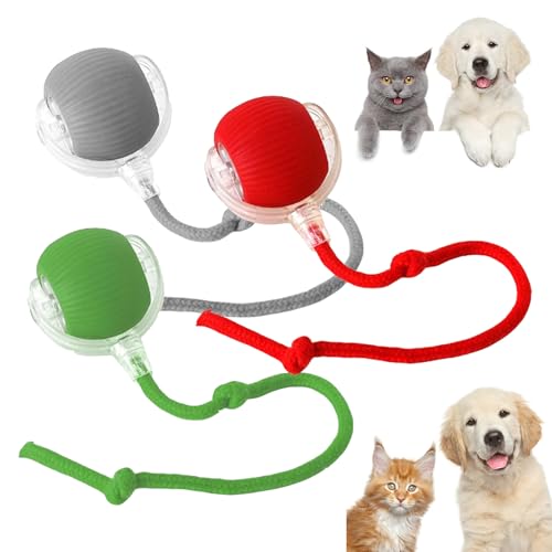 RICOKJRDE Interaktiver Rollender Hundeball, Chewie Viral Rolling Ball, Chewie Doggie Ball, Intelligentes Spielzeug Für Hunde Und Katzen, 360° Intelligenter Automatischer Rollender Haustierball (3PCS) von RICOKJRDE