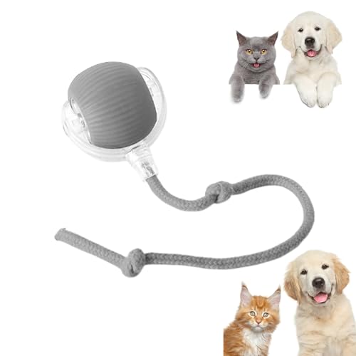 RICOKJRDE Interaktiver Rollender Hundeball, Chewie Viral Rolling Ball, Chewie Doggie Ball, Intelligentes Spielzeug Für Hunde Und Katzen, 360° Intelligenter Automatischer Rollender Haustierball (Grey) von RICOKJRDE