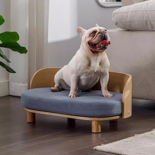 RIEJIN Hundesofas und Stühle für kleine Rassen/Katzenbetten mit festem Holzrahmen Katzensofa Stuhl/Hundesofa Bett für kleinen Hund Verwenden von RIEJIN