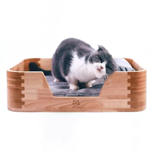 RIEJIN Kiefer Katze/Hundebett, Möbel Stil Haustier Couch, weiches modernes Welpen Sofa, mit waschbarem Kissen, für kleine Katze/Hunde von RIEJIN