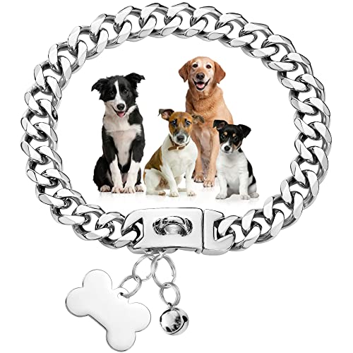 Hundehalsband, Metallkette, mit sicherer Schnalle und Erkennungsmarke und Glöckchen, hochglanzpoliert, kubanische Verbindung, robust, kausicher, Halsband für kleine, mittelgroße Hunde (19 mm, 35,6 cm) von RILPET